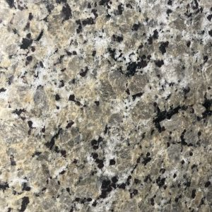 Butterfly-Beige-close-300x300-1