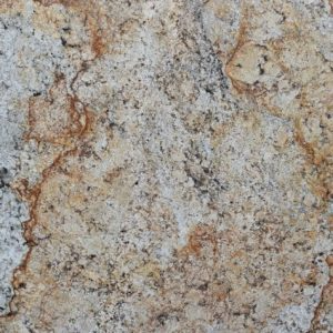 Gadwall-495-Close-300x300-1.jpg_1